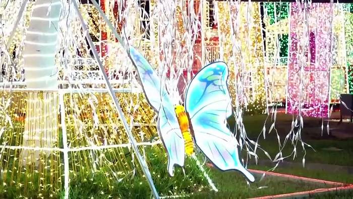 News video: Weihnachtslichter locken Lagos-Bewohner trotz Gewalt und steigender Preise