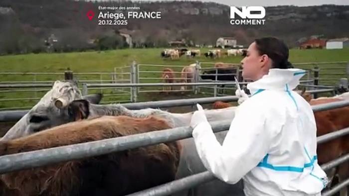 News video: Frankreich setzt Streitkräfte gegen Ausbruch einer Rinderseuche ein