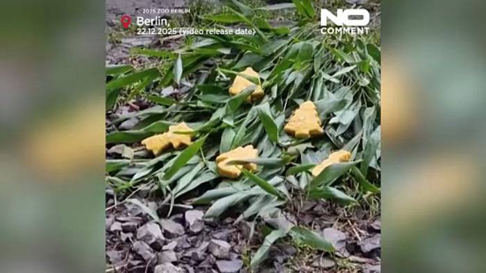 News video: Berliner Zoo: Tiere schlemmen Weihnachtsleckereien