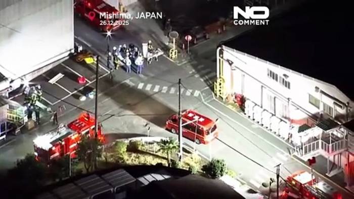 News video: Mehr als ein Dutzend Verletzte bei Messer- und Chemikalienangriff in japanischer Fabrik