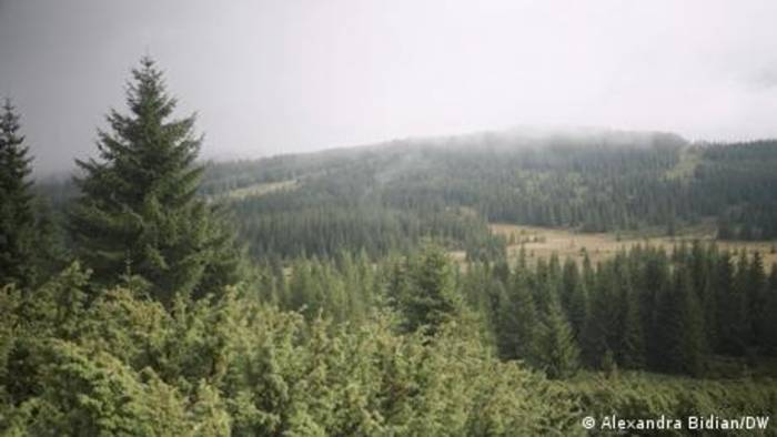 News video: Die rumänischen Karpaten werden grüner, auch wegen des Klimawandels