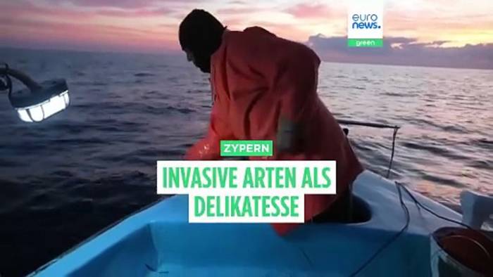 News video: Klimawandel: Giftige Fische dringen ins Mittelmeer ein