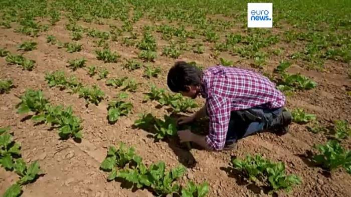 News video: 45 Milliarden für Landwirte: Von der Leyens letzter Vorstoß für das Mercosur-Abkommen