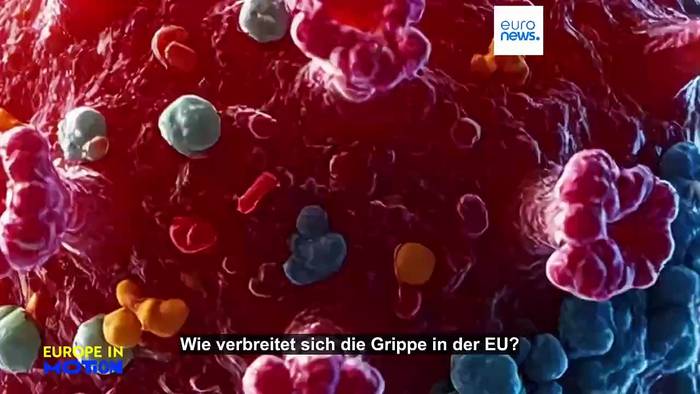 News video: Grippesaison: Wie breitet sie sich in der EU aus und was tun die Länder dagegen?