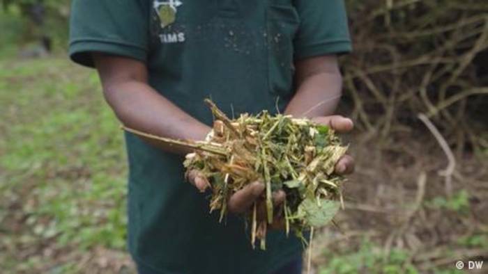 News video: Indien: Aus invasiven Arten Energie erzeugen