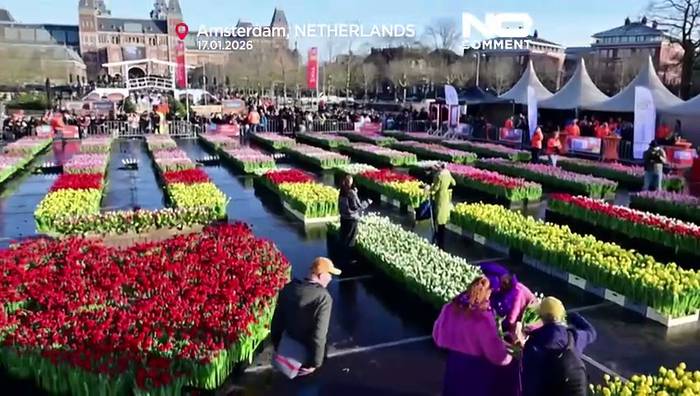 News video: Niederlande feiern nationalen Tulpentag: Amsterdam verteilt 200.000 Tulpen