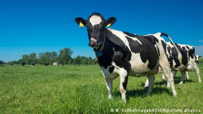 News video: Grüne Woche im Zeichen von Mercosur-EU-Abkommen