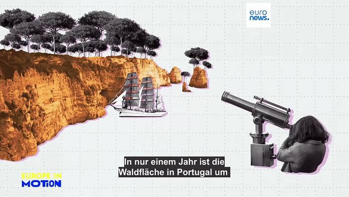 News video: Portugals Waldboom hat einen brandgefährlichen Preis