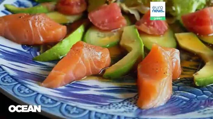 News video: Massentierhaltung und Überfischung: Ist der Verzehr von Lachs schlecht für die Umwelt?