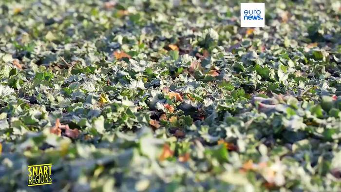 News video: Durch die Wolken sehen: Wie Radarbilder Landwirten in Polen helfen