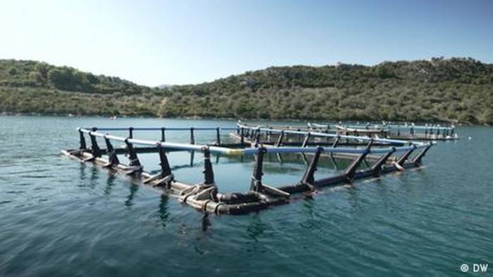 News video: Geister-Fischfarmen bedrohen Meere vor Griechenlands Küsten