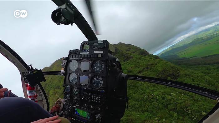 News video: Warum Menschen nicht wie Vögel fliegen können