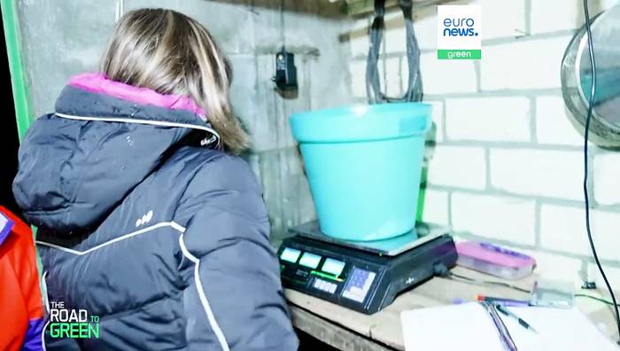 News video: Rettung des Europäischen Aals: Kann die Zusammenarbeit den milliardenschweren Handel stoppen?