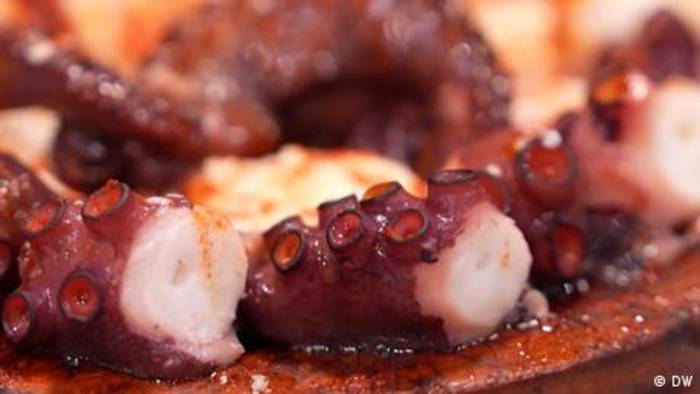 News video: Kann man Oktopus mit gutem Gewissen essen?