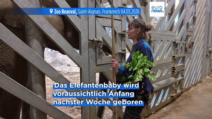 News video: Nur Wochen nach erster Geburt: Zweites Elefantenbaby in französischem Zoo