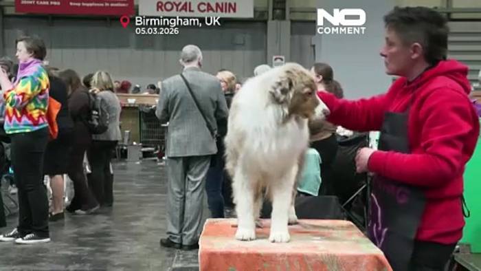 News video: Großbritannien: Hundeschau Crufts startet in Birmingham mit über zwanzigtausend Hunden