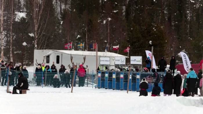 News video: Rentier-Rennen locken Massen in Finnlands eisigen Norden an der russischen Grenze
