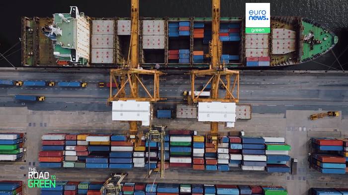 News video: Aus der Wildnis gestohlen: Die dunkle Seite des Handels mit exotischen Haustieren