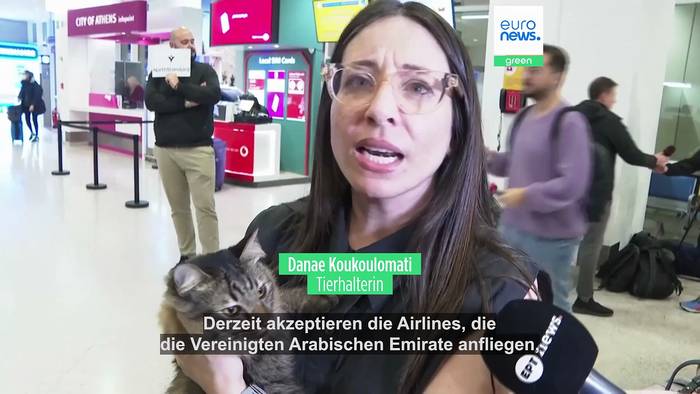 Video: Aufregung um Haustiere - Rückflug mit 45 Hunden und Katzen aus Abu Dhabi nach Europa
