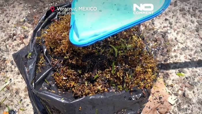 News video: Mexiko säubert Ölverschmutzung vor Küste von Veracruz