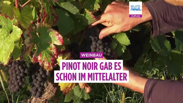 News video: Pinot Noir schon im Mittelalter: Jeanne d’Arc könnte unsere Traube gekostet haben