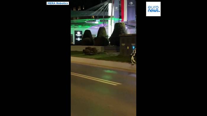 News video: Humanoider Roboter jagt Wildschweine in Polens Hauptstadt Warschau