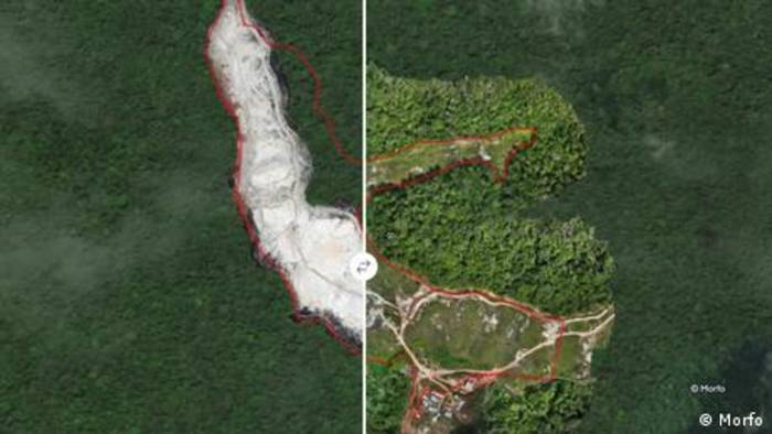 News video: Bäume pflanzen mit Künstlicher Intelligenz