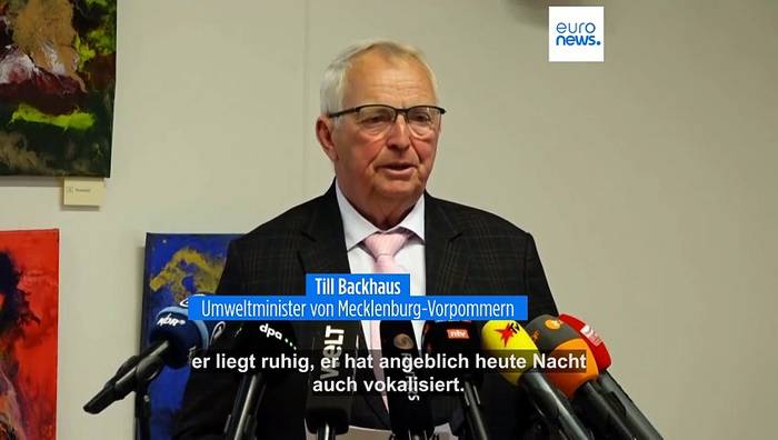 News video: Timmys Rettung aus der Ostsee: 