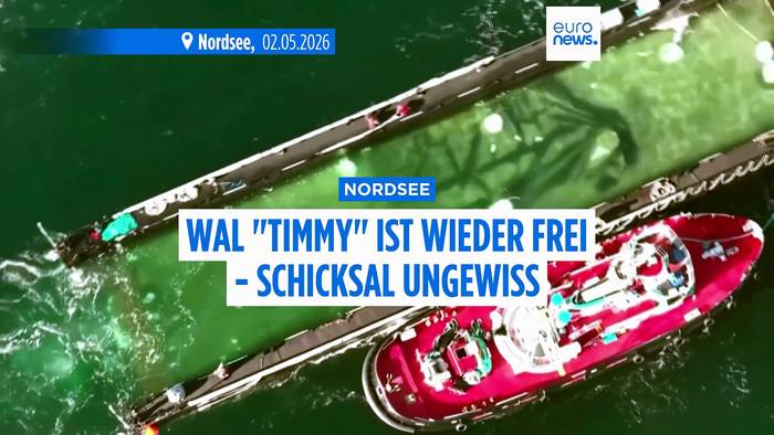 Video: Kritik: Wal 