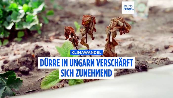 Video: Dürre am wärmsten See Europas verschärft sich: Trocknet der kleine Bruder des Plattensees in Ungarn aus?