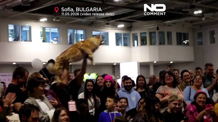 News video: Internationale Katzenschau: Europas schönste Katzen treffen sich in Sofia