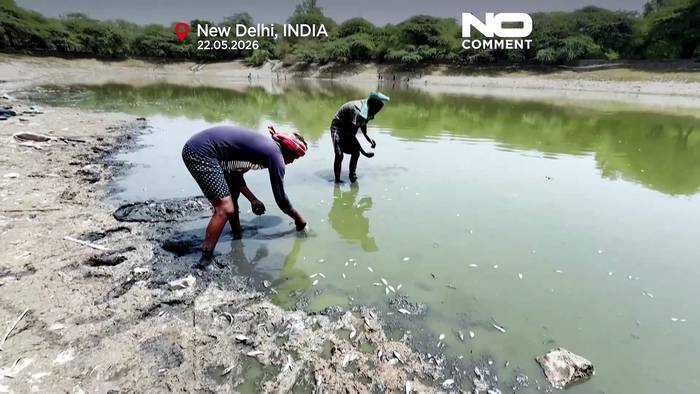 News video: Indien leidet unter Hitze: tote Fische in Neu-Delhi angespült