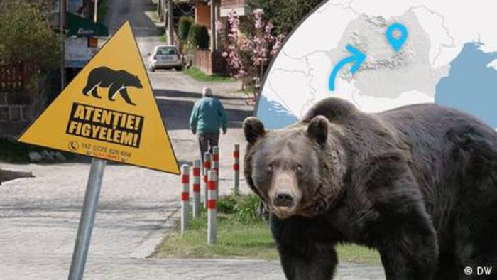 News video: Leben mit Bären: Wie eine rumänische Stadt sich schützt