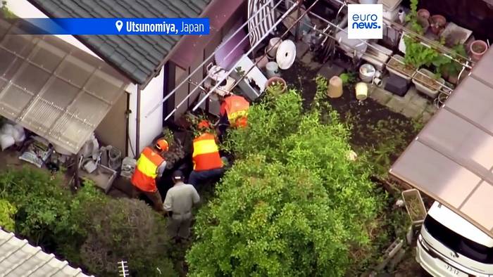 News video: Bär streift durch japanische Stadt und wird gefasst