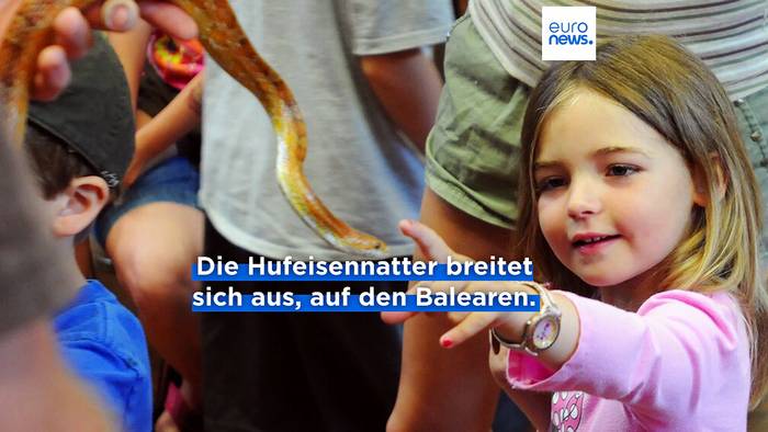 News video: Urlaubsinseln unter Druck: Schlangenplage auf Mallorca und Ibiza