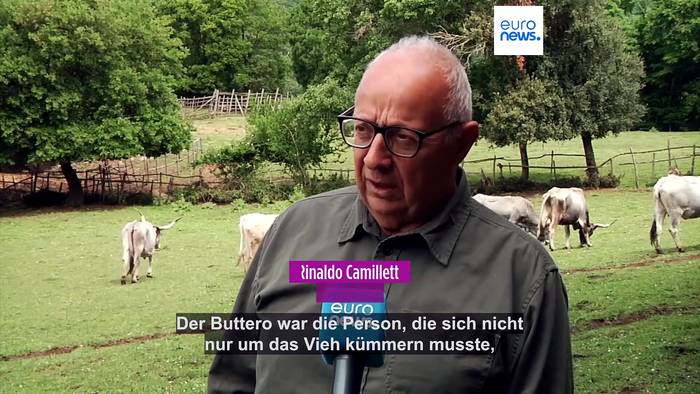 News video: 