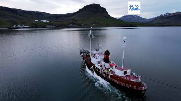 News video: Island nimmt Walfang wieder auf: Erste Wale seit 2023 getötet