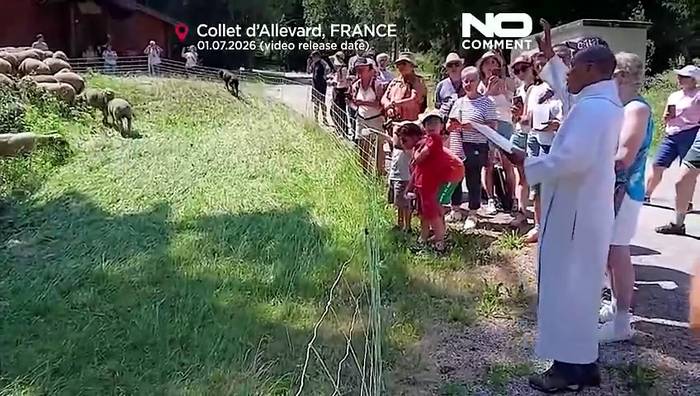 Video: Transhumanz kehrt in französische Alpen zurück