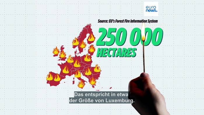 News video: Fläche von Luxemburg verbrannt: So schlimm sind die Waldbrände 2026